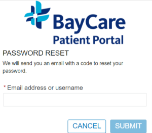 Forgot Password of BayCare